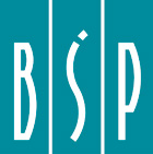 BSP log