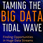 Create, Organize, Execute on Big Data: Book Tells How