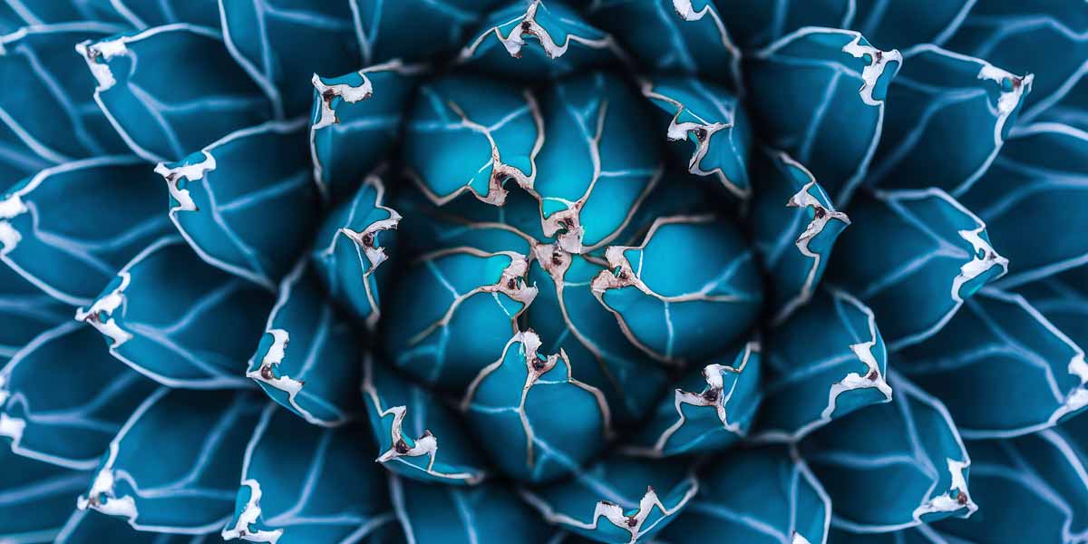 How Teradata Vantage Workload Management Helps Manage Workload