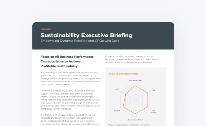 Sustainability Executive Brief