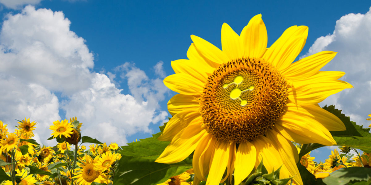 Teradata Teradata Blogs Big Data Blogs